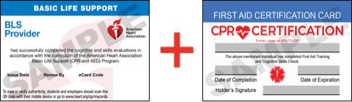Sample American Heart Association AHA BLS CPR Card Certificaiton and First Aid Certification Card from CPR Certification Phoenix
