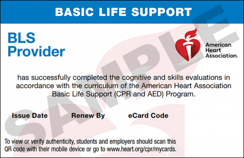 Sample American Heart Association AHA BLS CPR Card Certification from CPR Certification Phoenix